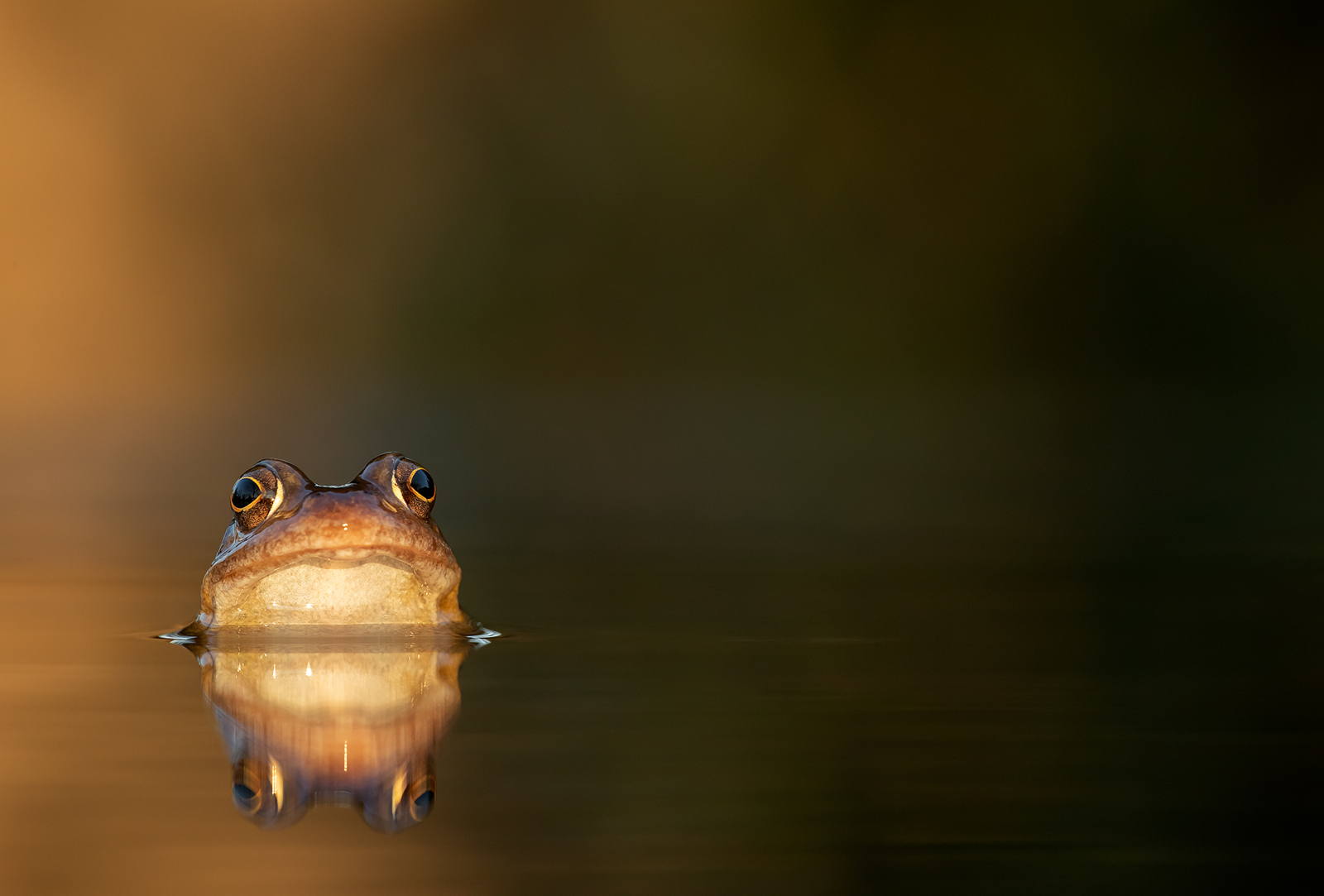 About - Danny Green Photography